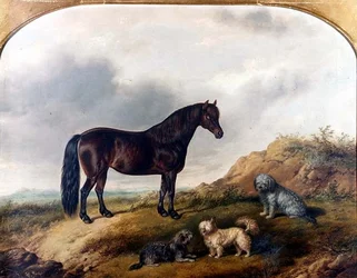 Ein Pony und drei Terrier in einer Landschaft