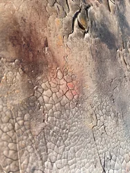 Rissige Erd-Textur