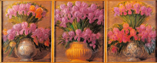 Iris