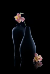 Elegante Alstroemeria-Vasen
