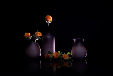 Orange Blumen Stillleben