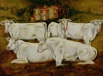 Charolais-Bullen, Dippenhall, Farnham