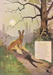Die Ohren des Hasen, aus Fabeln von Jean de La Fontaine