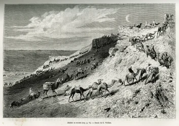 Akabah oder das Aufstellen von Kamelen aus der Karawane. Gravur von G. Vuillier, zur Illustration der Geschichte „Pilgerfahrt nach Nedjed, Wiege der arabischen Rasse“, von Lady Anna Blunt, 1878-1879, veröffentlicht in Le tour du monde, unter der Leitung vo