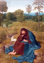 Johannes der Täufer in der Wildnis