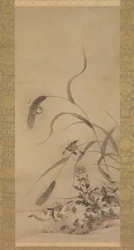 Hirse und Spatzen, Mitte des 16. Jahrhunderts