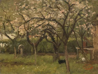 Blühender Baum in einem Obstgarten