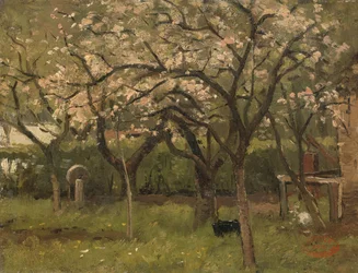 Blühender Baum in einem Obstgarten