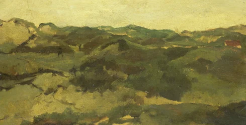 Heidelandschaft
