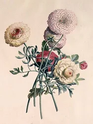 Astern