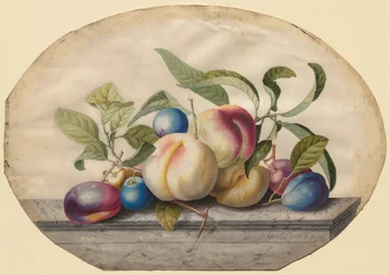 Obstarrangement: Pfirsiche und Pflaumen auf einer Marmorplatte, 1742