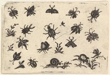 Kleine Motive von Insekten und Pflanzen
