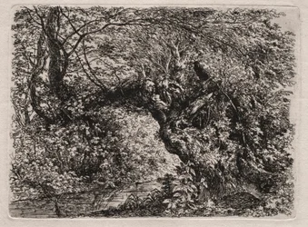 Die alte Weide an einem Bach, 1794