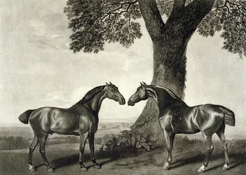 Zwei Jäger, graviert von G.T. Stubbs