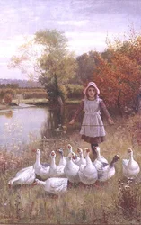 Das Gänsemädchen