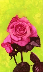 Helle Rose