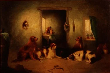 Die Küchendogs