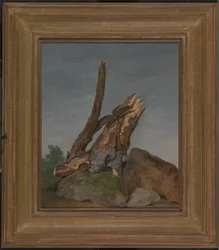 Studie von Felsen und Ästen