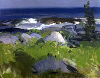 Weinbewachsene Küste--Monhegan Island