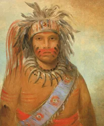 Au-nim-muck-kwa-um, Sturmvogel