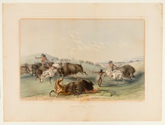 Büffeljagd, Verfolgung Nr. 7