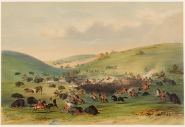 Büffeljagd, Einkreisung