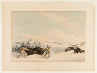 Büffeljagd auf Schneeschuhen, Nr. 15