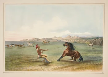 Das Einfangen des Wildpferdes, pl. 4 aus dem Nordamerikanischen Indianer-Portfolio