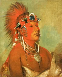 Jee-hé-o-hó-shah, Kann nicht umgeworfen werden, ein Krieger