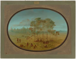 Kiowa-Indianer sammeln wilde Trauben