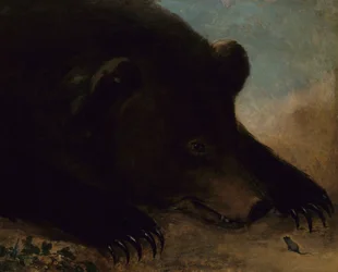 Porträts eines Grizzlybären und einer Maus, Lebensgröße