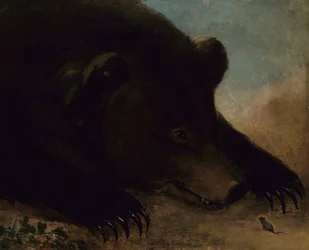 Porträts eines Grizzlybären und einer Maus, Lebensgröße, 1846-1848