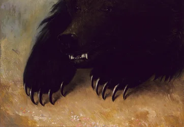 Waffen und Physiognomie des Grizzlybären, 1846-1848