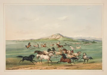 Wilde Pferde beim Spielen, pl. 3 aus dem North American Indian Portfolio