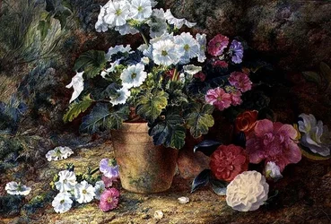 Stillleben mit Pelargonien in einem Topf und Kamelien