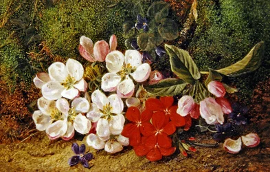 Blüten und Geranien am moosigen Ufer