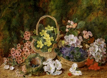Frühlingsblumen und Vogelnest auf einem Moosbett.