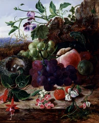 Stillleben mit Früchten, Fuchsie und Vogelnest. Gemälde von George Clare (1835-1899) Privatsammlung.