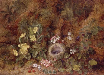 Stillleben mit Vogelnest und Wildblumen