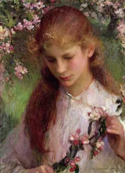 Apfelblüte, 1899