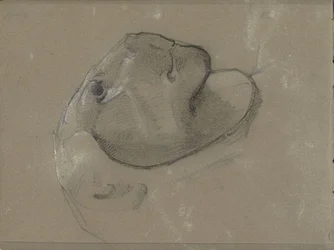 Löwenkopf, vermutlich nach einer Skulptur