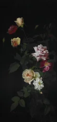 Stillleben