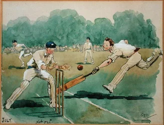 Der Monat Juli: Cricket