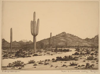 Straße zum Paradise Valley, Arizona