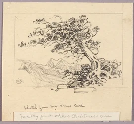 Skizze für Weihnachtskarte (Windswept Pine [Nr. 1])