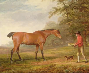 Ein braunes Pferd wird von einem Stallburschen mit Futter und Halfter angesprochen, 1789