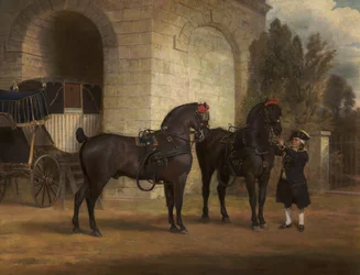 Zwei schwarze Kutschpferde mit einem Kutscher, 1791