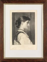 Viola