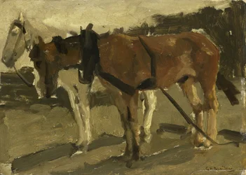 Ein braunes und ein weißes Pferd in Scheveningen