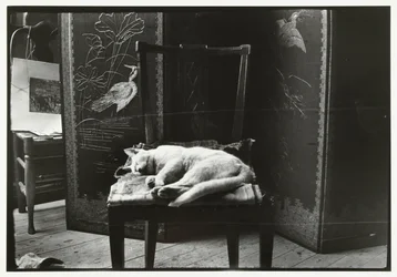 Katze auf einem Stuhl im Atelier von Breitner in Amsterdam